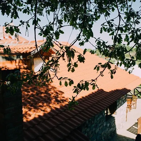 Arxontiko Agonari Metamorfosi (Pella)