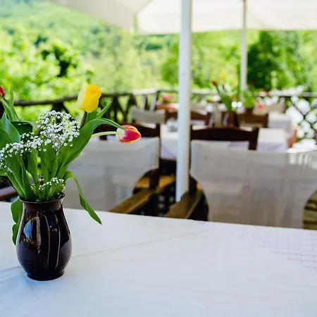 Arxontiko Agonari 3*