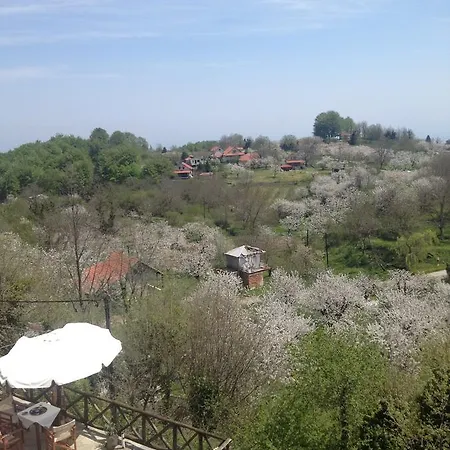 Arxontiko Agonari Mini-hôtel 3*