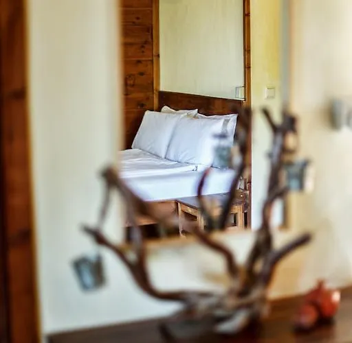 Arxontiko Agonari 3* Μεταμόρφωση