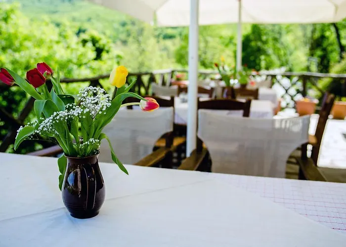 Arxontiko Agonari 3*