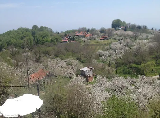 Arxontiko Agonari Kro 3*